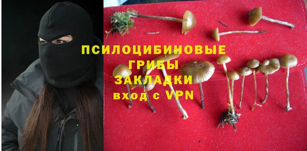 крисы Кинешма