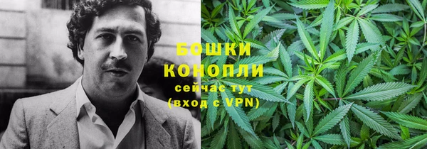 крисы Кинешма