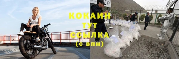 крисы Кинешма