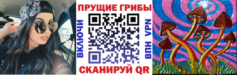 дарнет шоп Усть-Катав дарк нет формула Галлюциногенные грибы прущие грибы